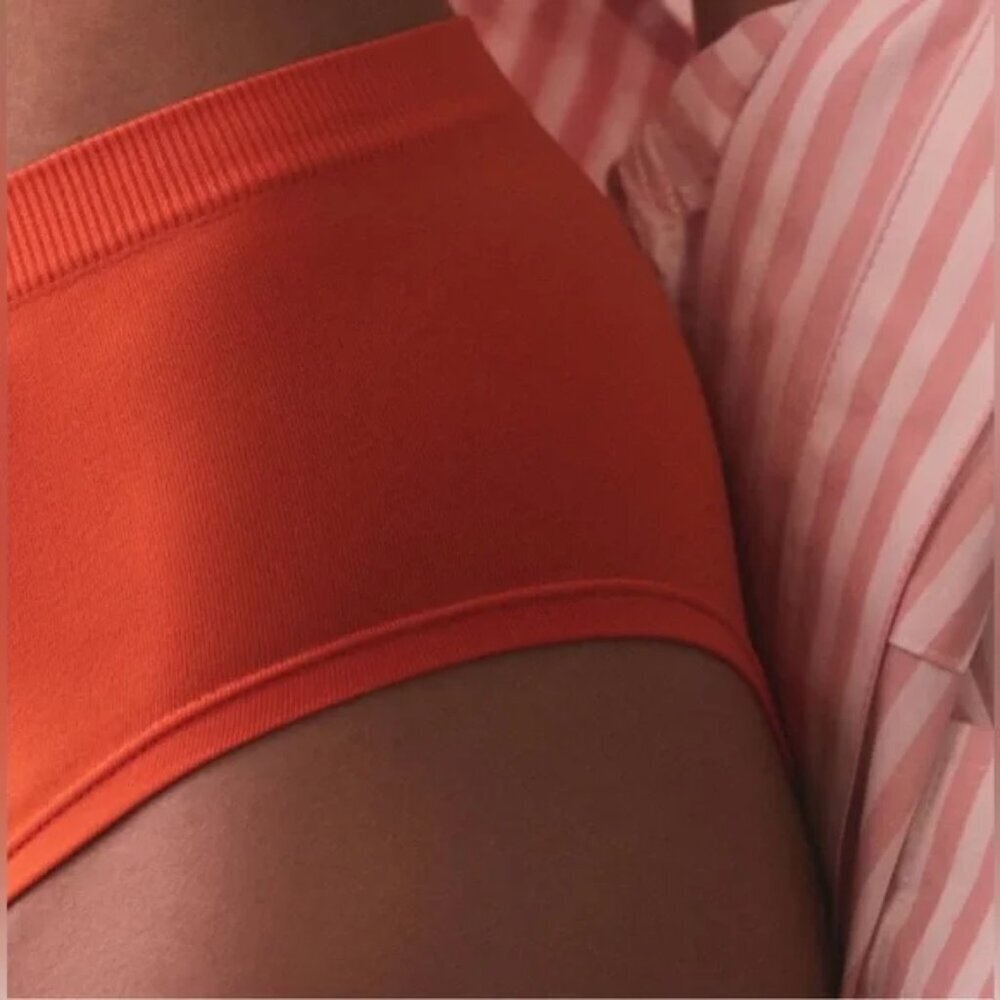 NWT The Renna Seamless Briefs - Picture 4 of 4